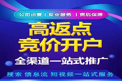 百度移动端应用推广策略探讨